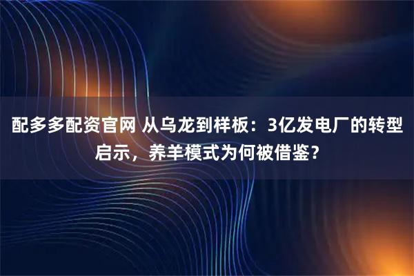 配多多配资官网 从乌龙到样板：3亿发电厂的转型启示，养羊模式为何被借鉴？