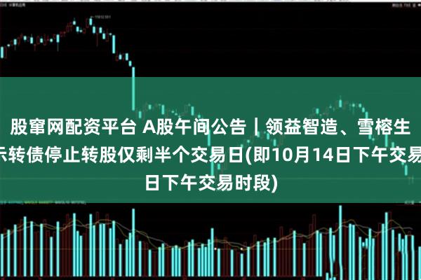 股窜网配资平台 A股午间公告｜领益智造、雪榕生物提示转债停止转股仅剩半个交易日(即10月14日下午交易时段)