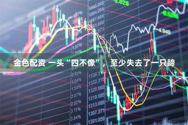 金色配资 一头“四不像”，至少失去了一只蹄