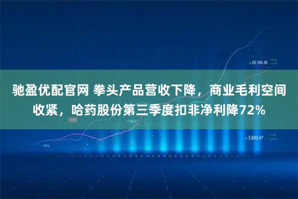 驰盈优配官网 拳头产品营收下降，商业毛利空间收紧，哈药股份第三季度扣非净利降72%