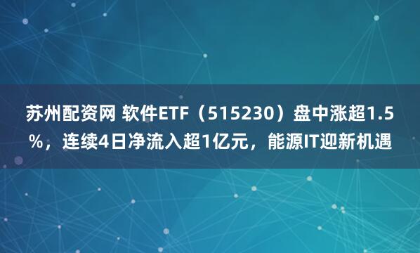 苏州配资网 软件ETF（515230）盘中涨超1.5%，连续4日净流入超1亿元，能源IT迎新机遇