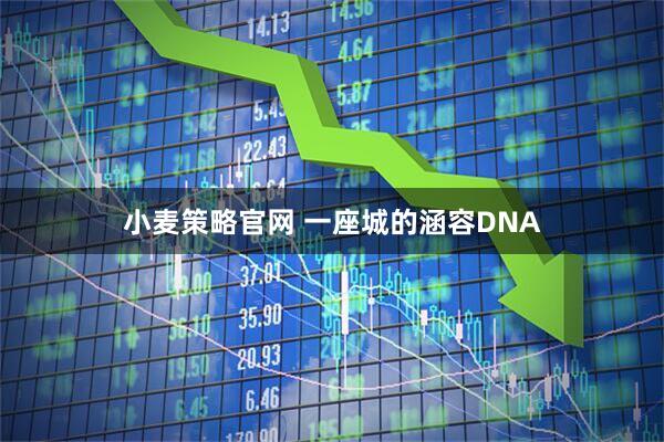 小麦策略官网 一座城的涵容DNA